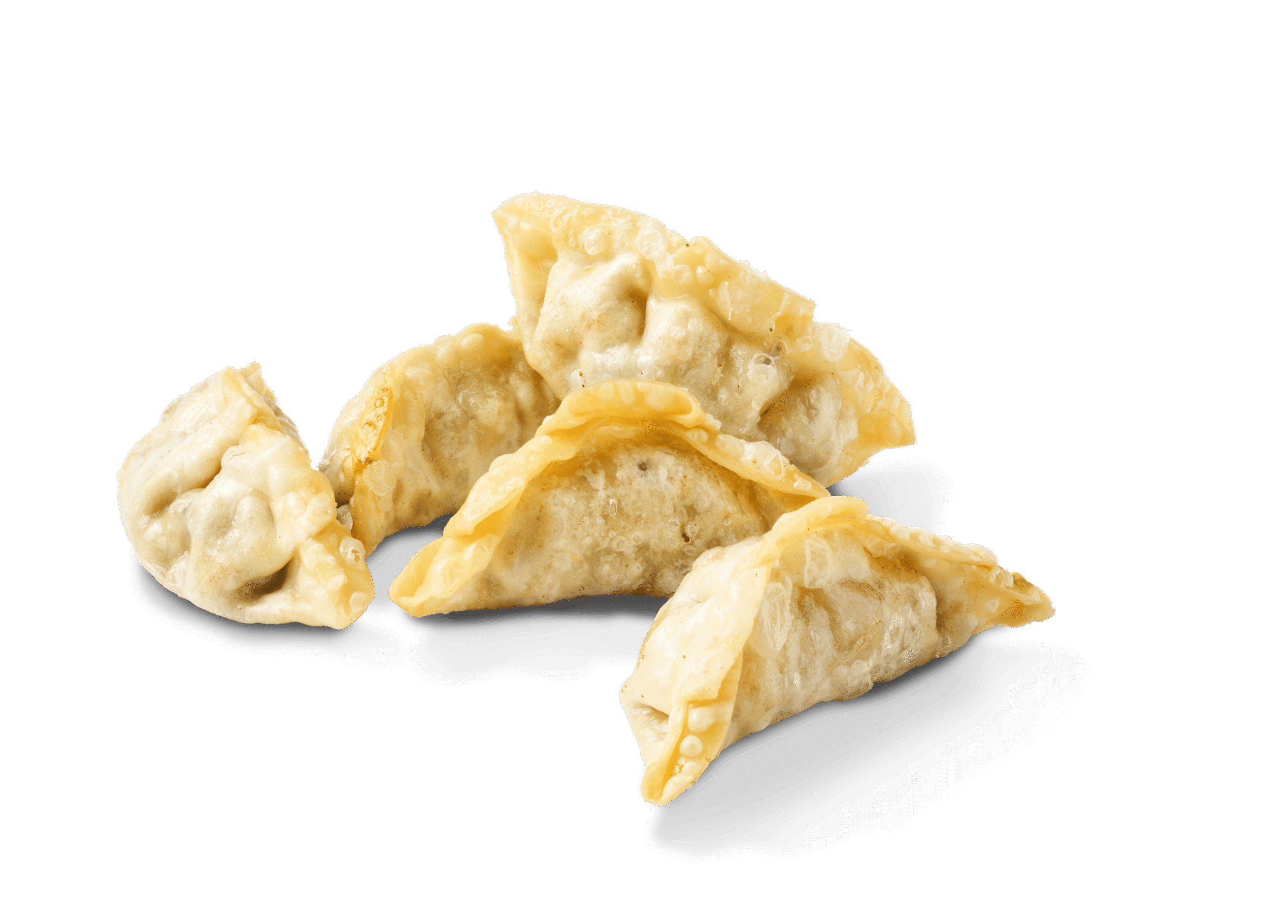 Crispy Veggie Gyozas